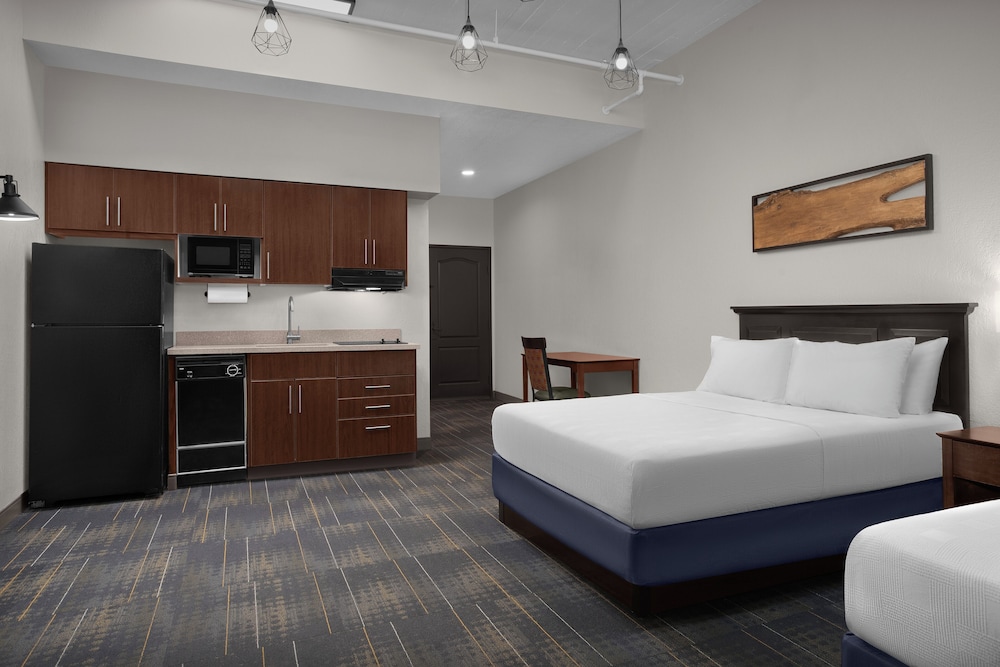 Studio, Suite, 2 Double Beds, No Window