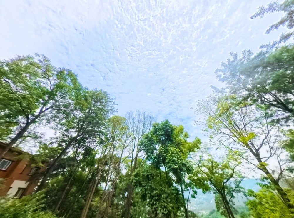 Fortune Resort and Wellness Spa 42/48