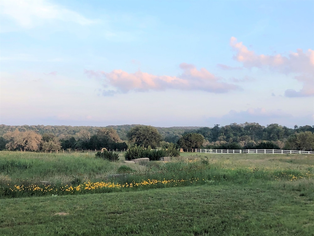 The Alexander at Creek Road 74/78