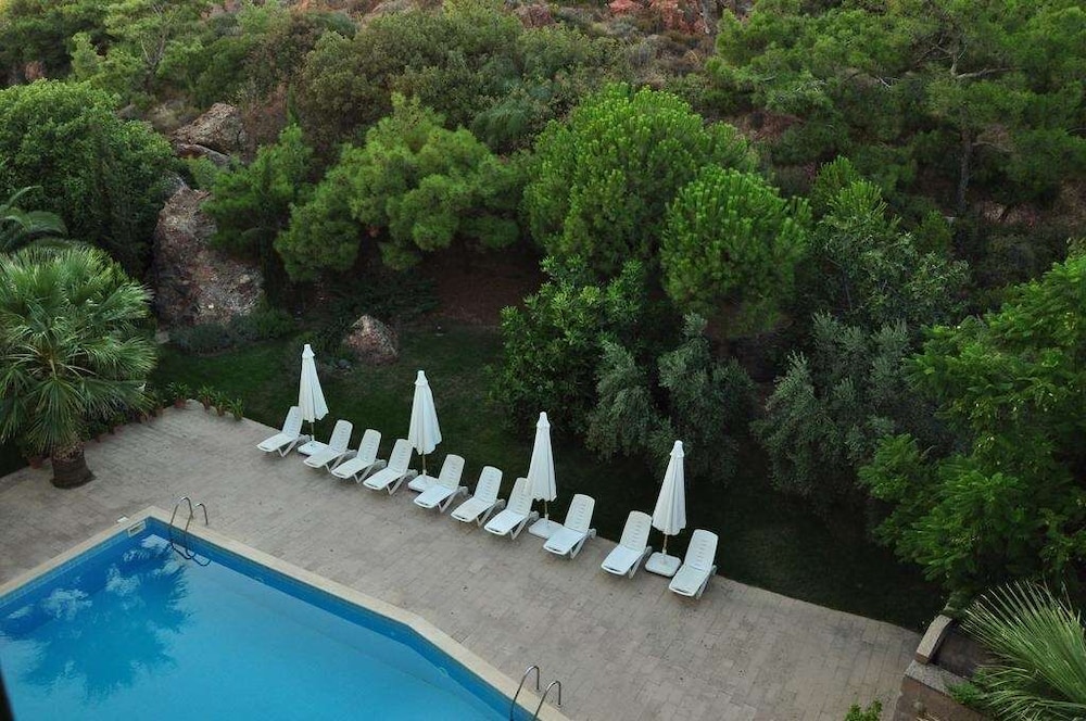 Palm Court Suites 38/48