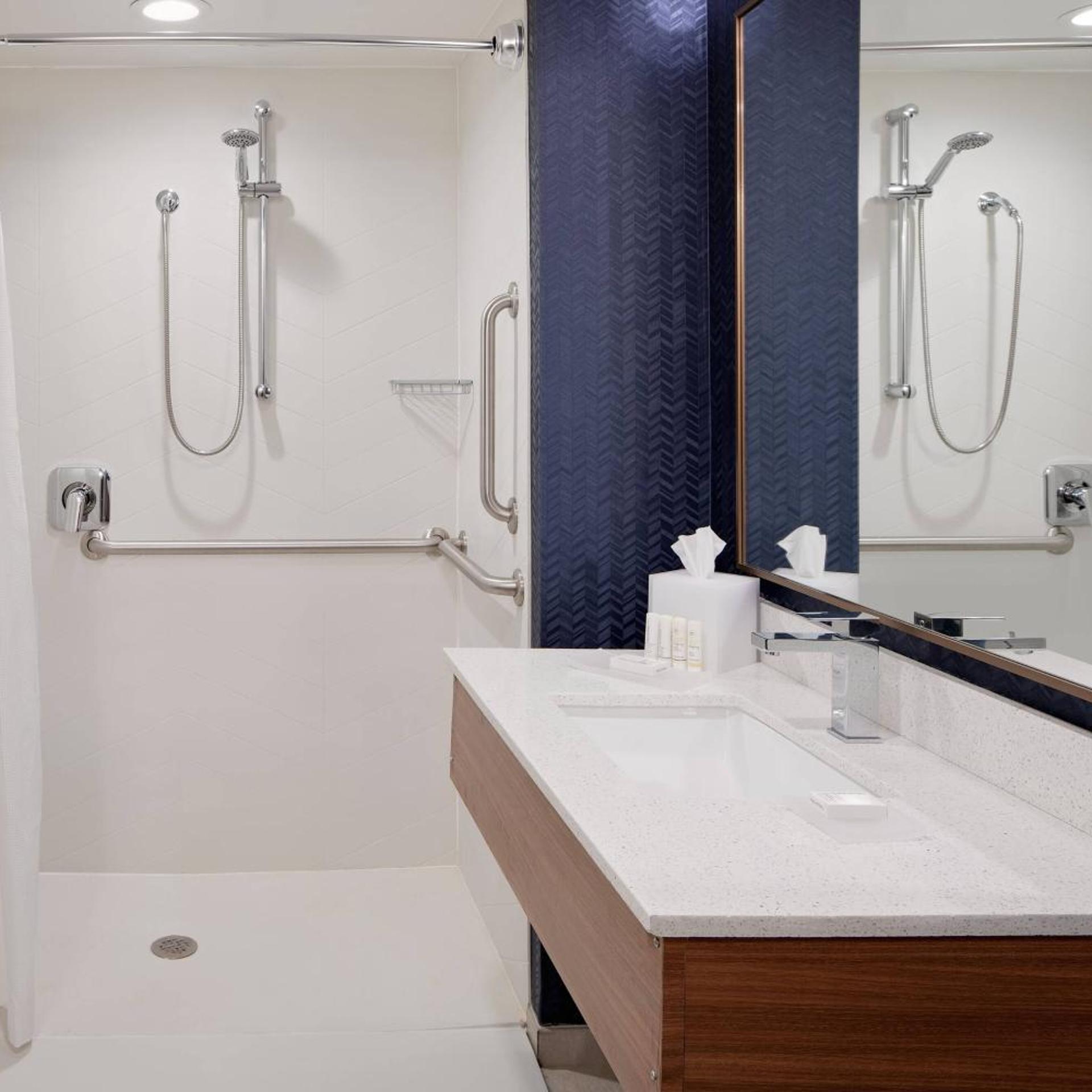 Suite, King Bed, Sofa, Bathtub, Accessible