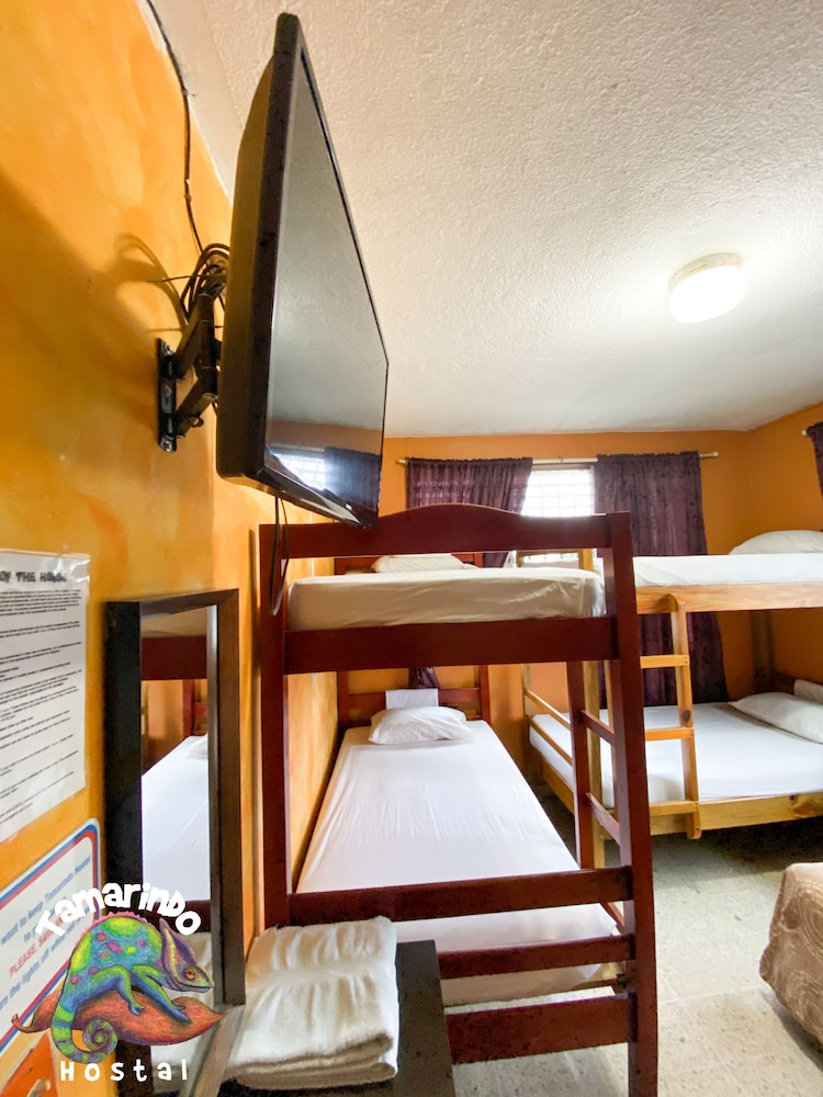 Tamarindo hostel 23/50