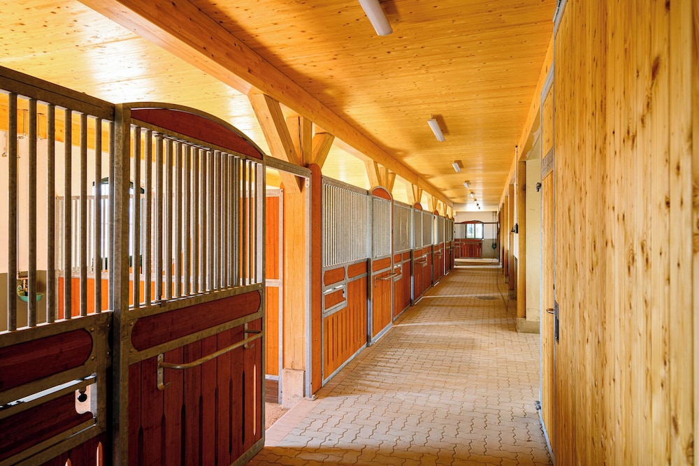 Hotel Gut Immenhof 18/42