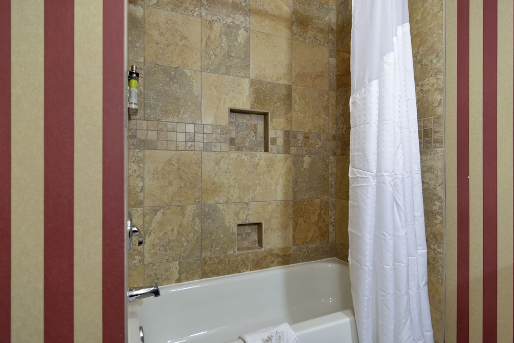 Holiday Inn Express Hotel And Suites Dfw West Hurst 15/74