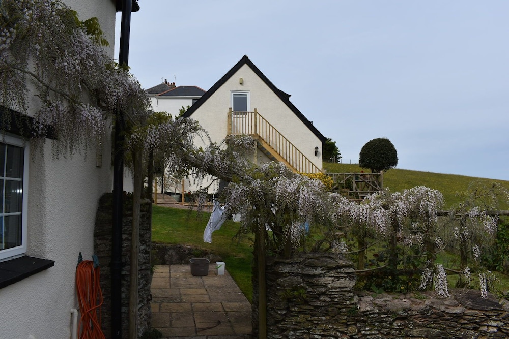Frogwell 17/22