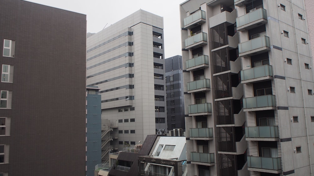 Sakura Hotel Jimbocho 3/75