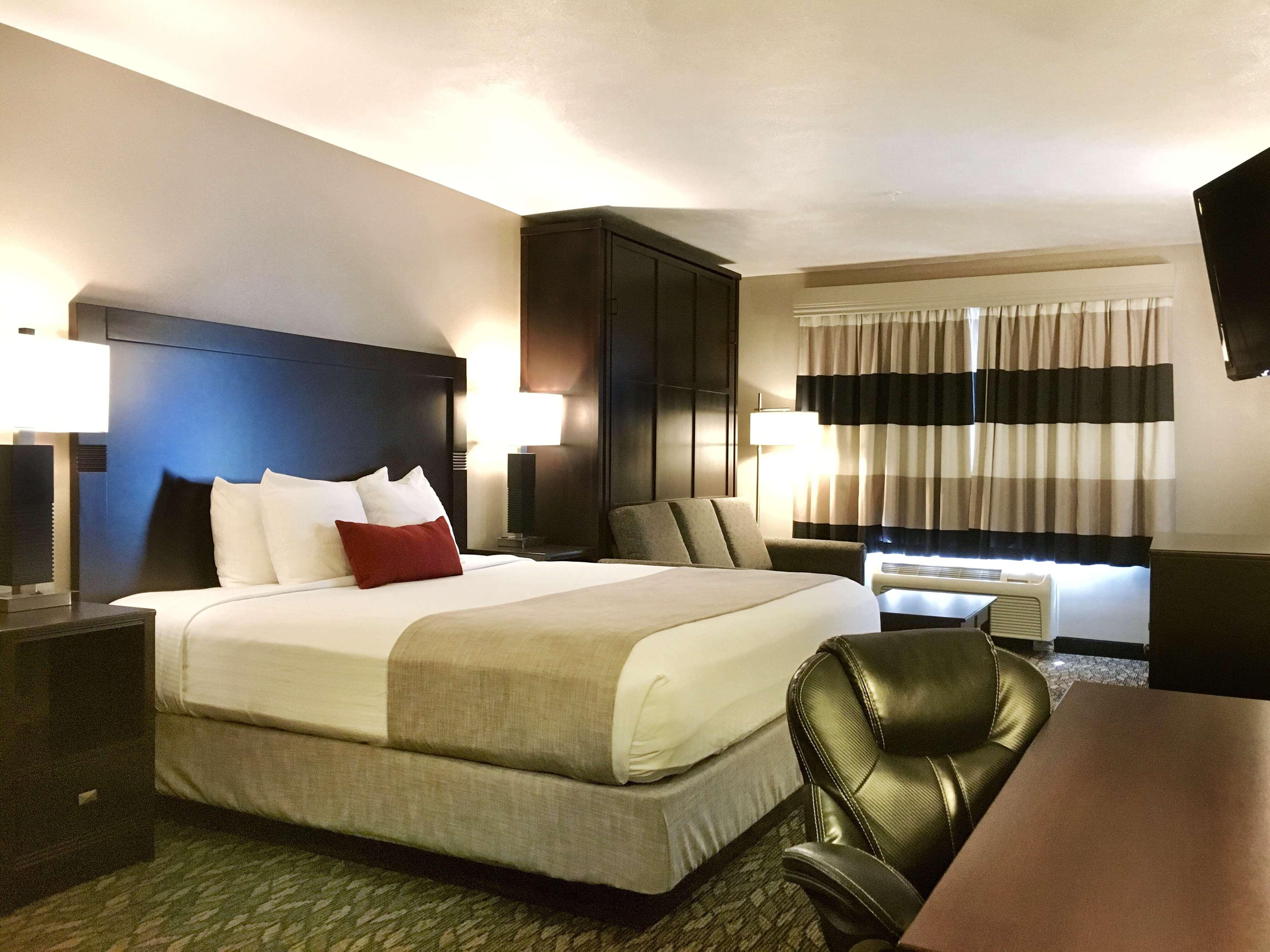 Downstairs, Suite, King Bed, Queen Murphy Bed, Kitchen