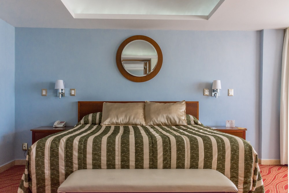 Hotel Real Plaza Aguascalientes 22/71
