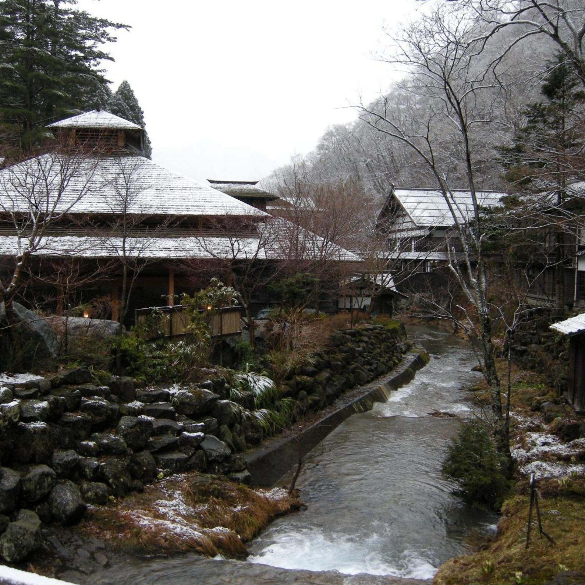 Hoshi Onsen Chojukan 46/50