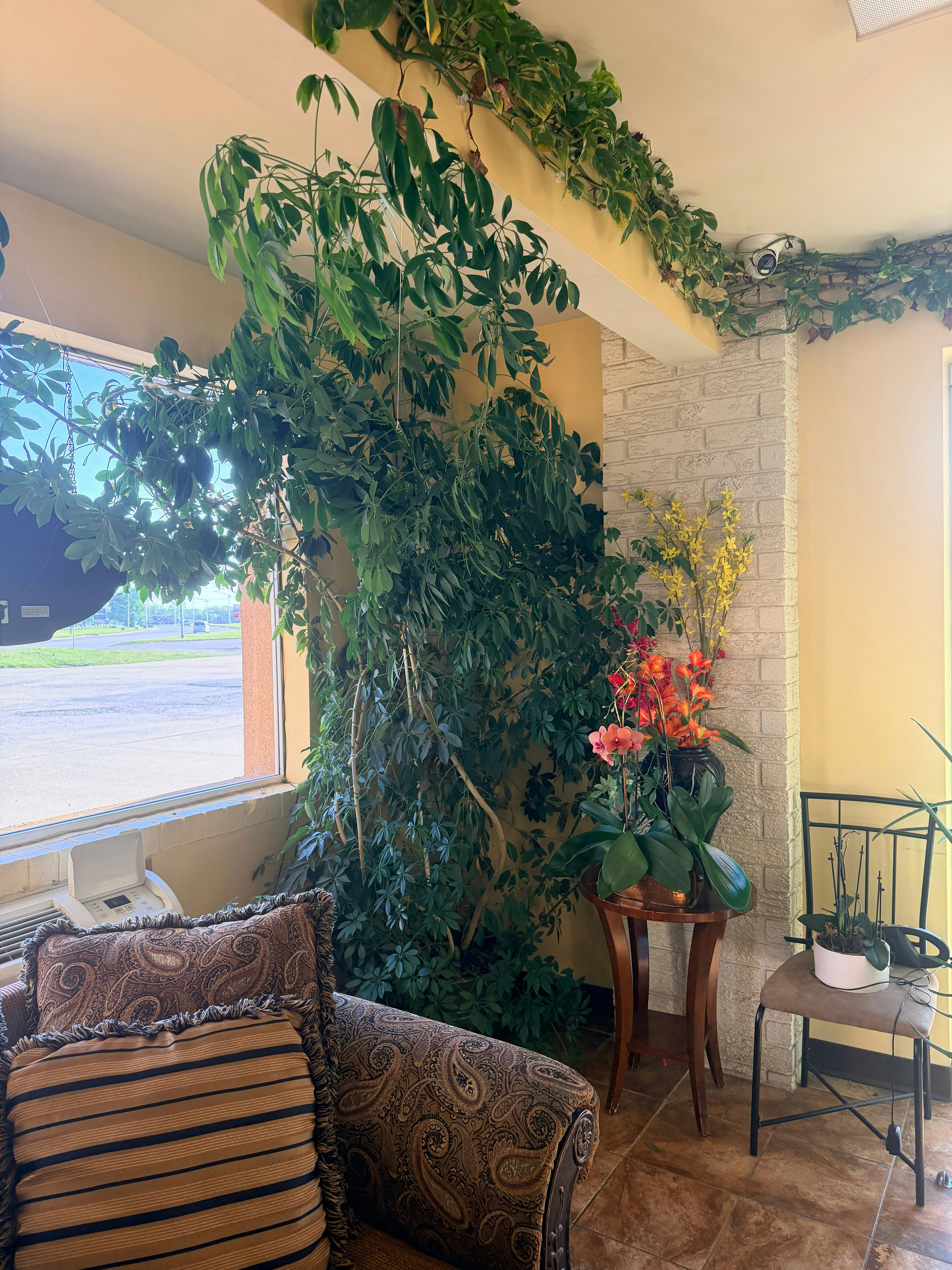 Regal Inn Coffeyville KS US 169 19/31