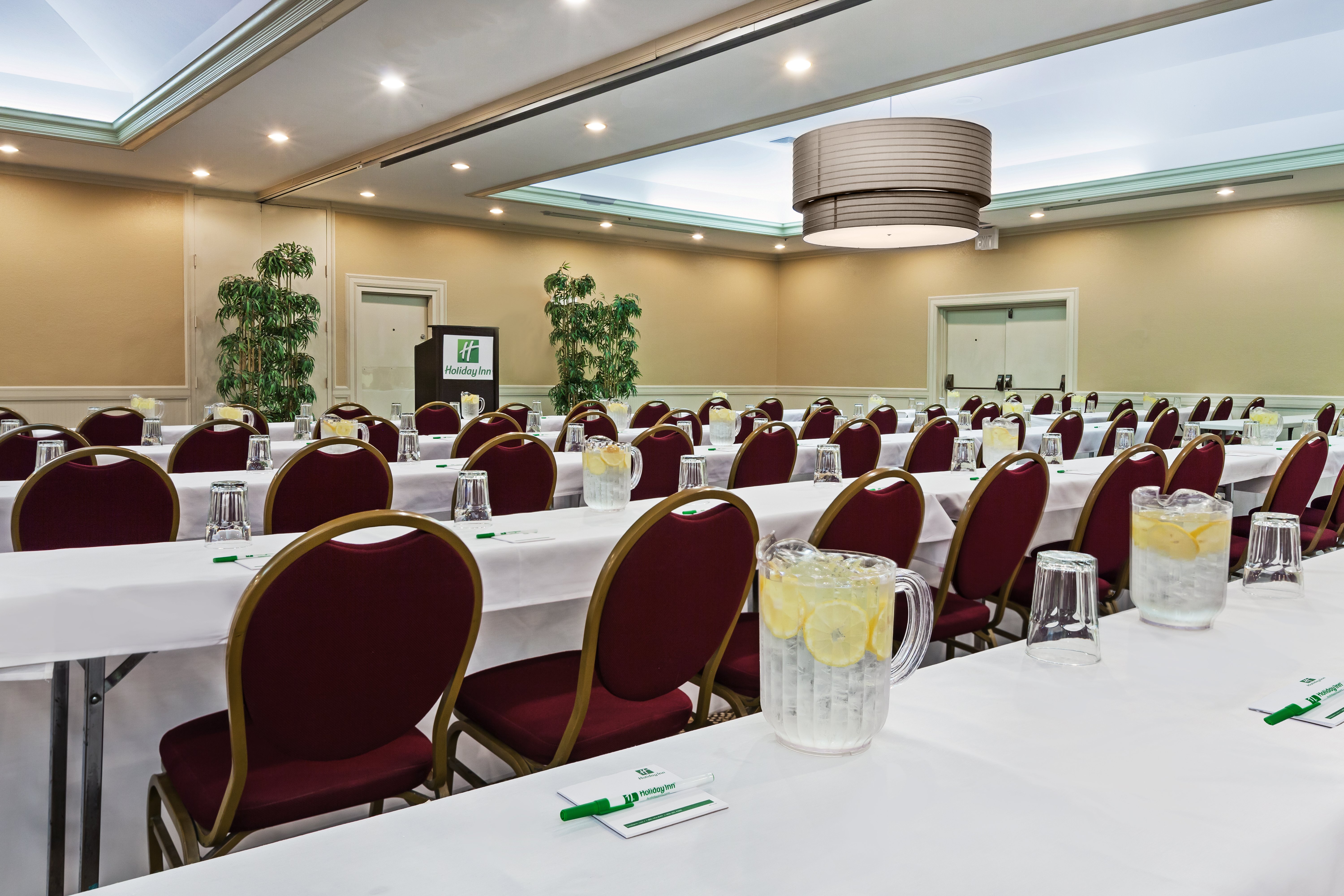 Holiday Inn Tyler-Conference Center, an IHG Hotel 51/62