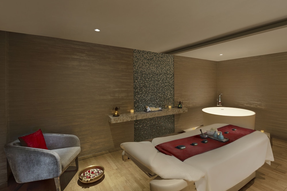 Pullman New Delhi Aerocity 21/47