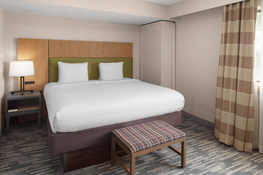جناح بسرير كينج مع أريكة