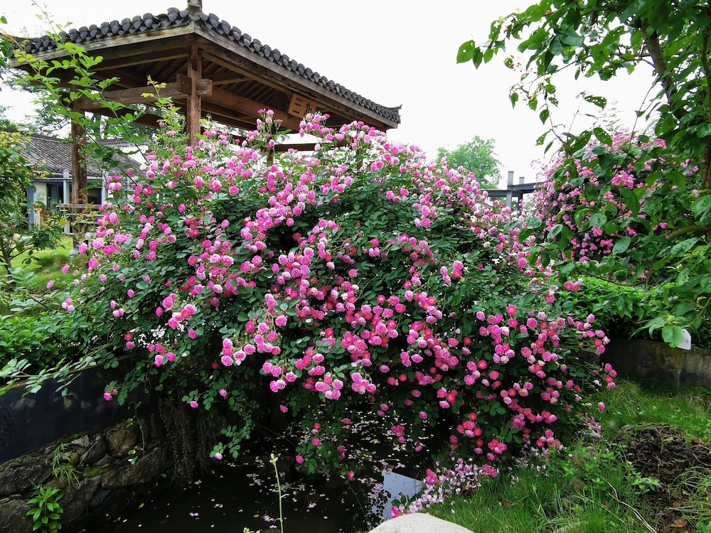 Huangshan Huizhou Creek Villa 24/38