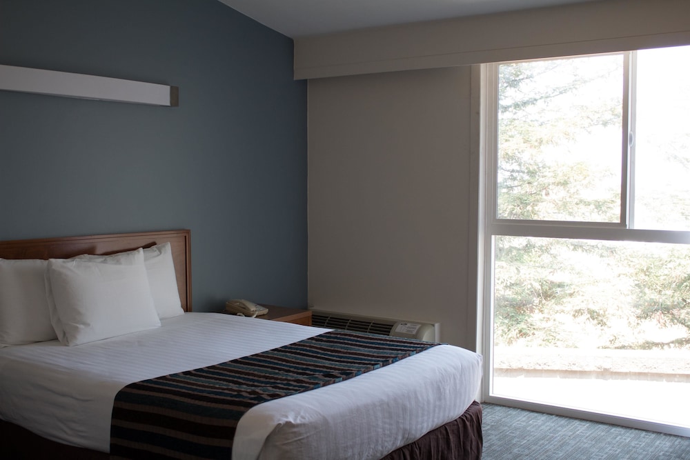 Good Nite Inn Redwood City 7/37