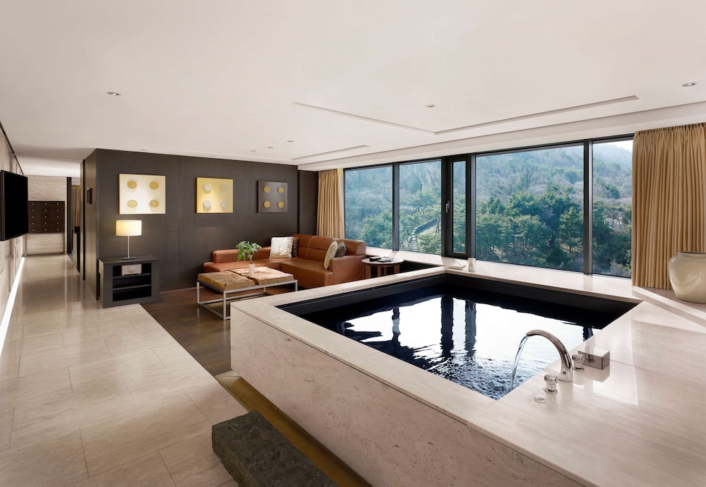 Banyan Tree Club and Spa Seoul 6/76