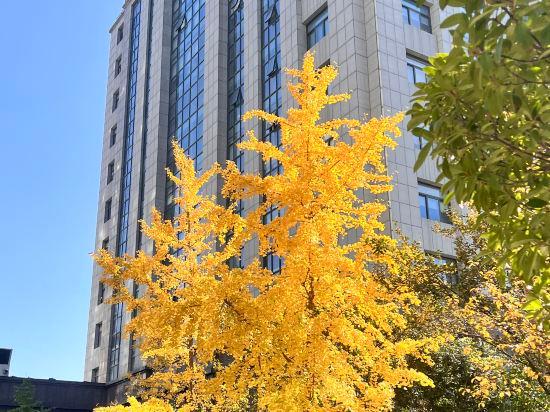 Shengting Business Hotel Zhengzhou International Exhibition Center 24/29
