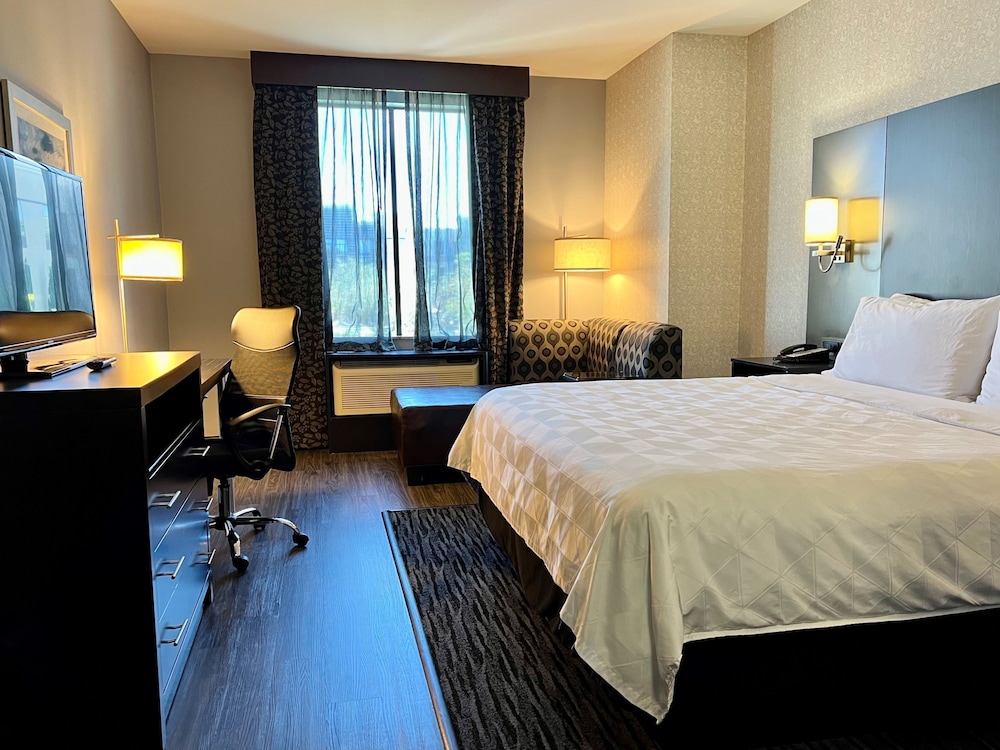 Holiday Inn Carlsbad 29/73