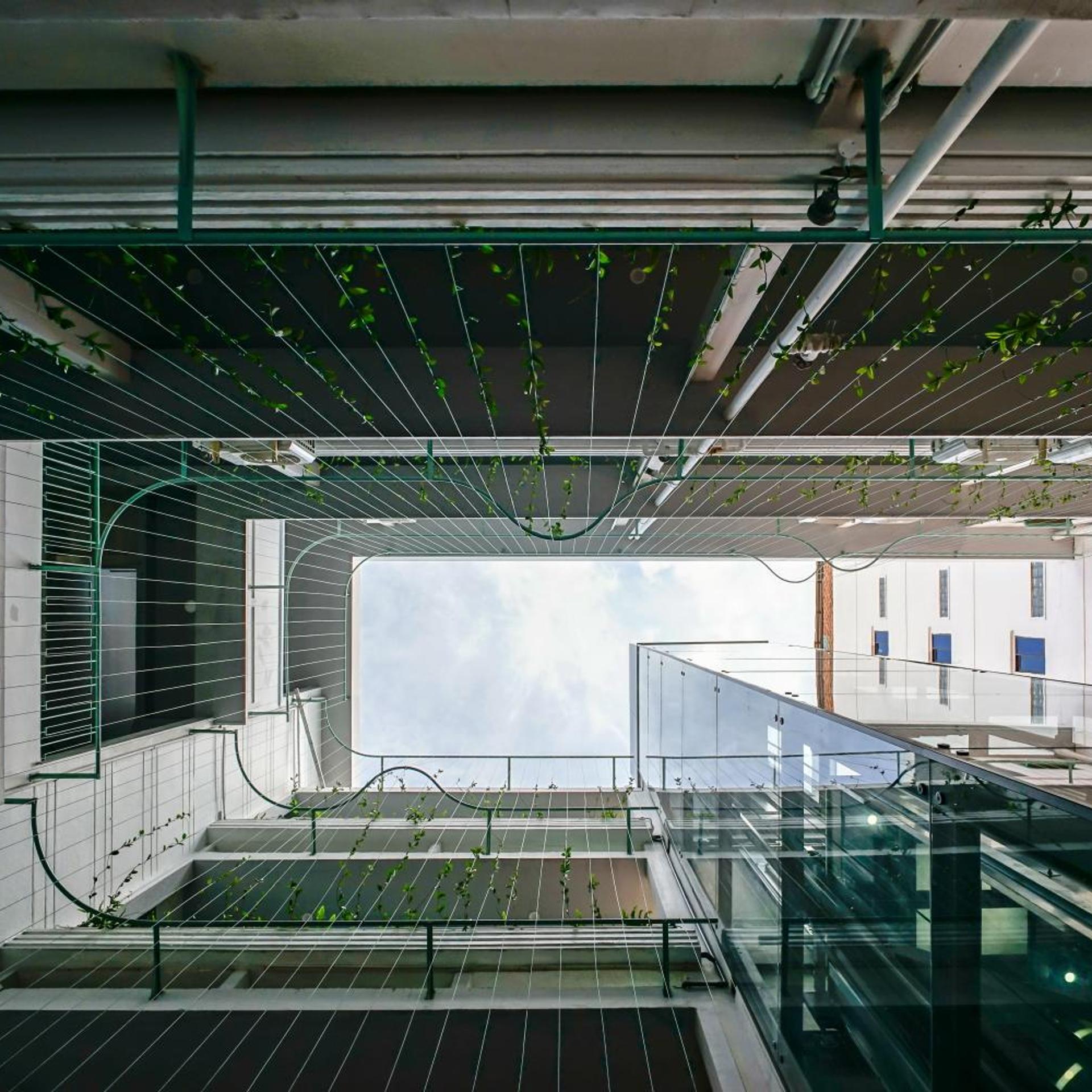 La Memoria Hotel - City Centre 24/50