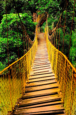 MERIYANDA NATURE LODGE, COORG 14/15