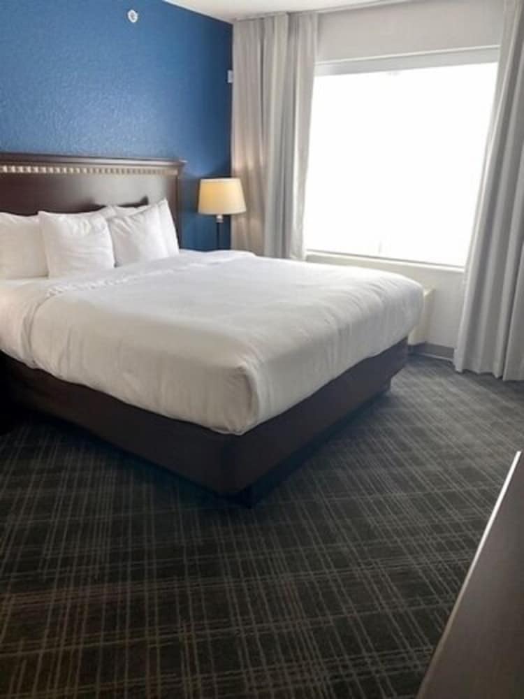 Suite, King Bed, Sofa
