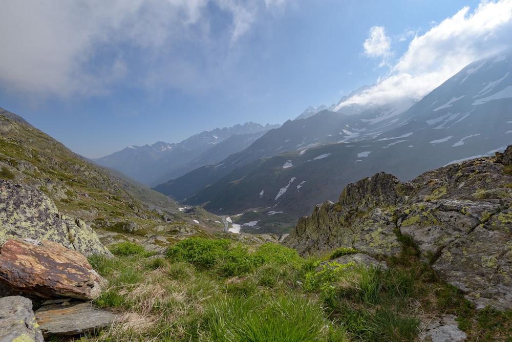 Bivouac De Napoleon 42/50