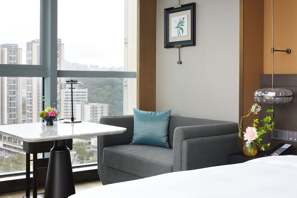 Buddy Hotel 36/50
