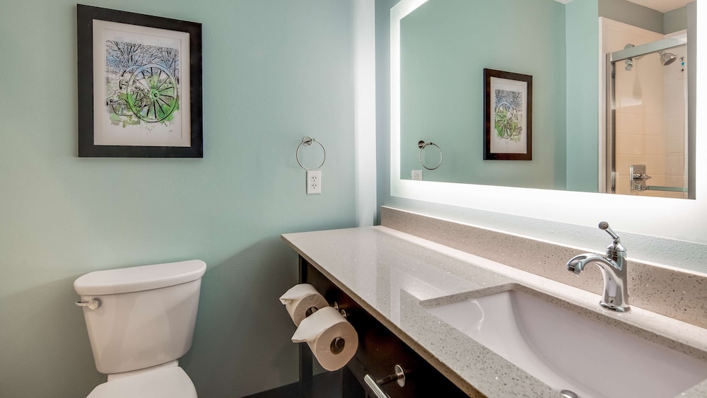 Best Western Plus Executive Residency Marion 12/42