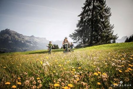 Chalet Hotel Alpen Valley 45/53