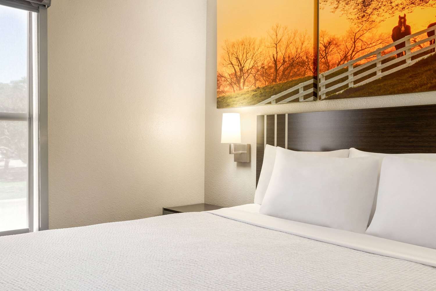 Days Inn By Wyndham San Antonio Near Fiesta Park 20/36