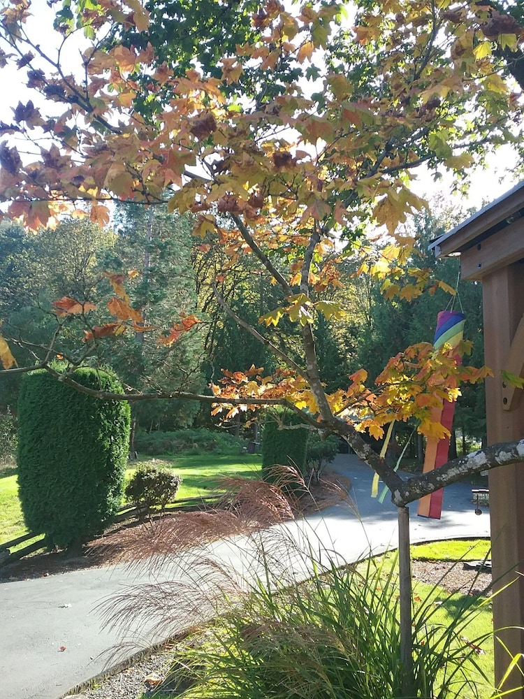 MapleRidge House: A BnB For All Seasons 41/50