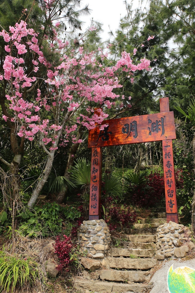 Alishan B&B Yunmingi 6/50