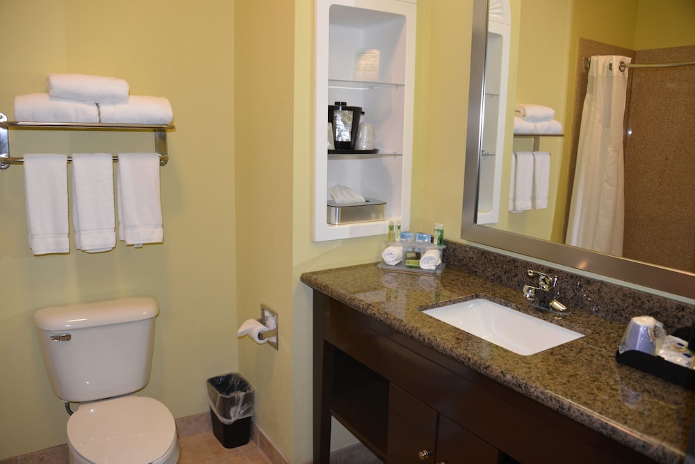 Holiday Inn Express Hotel Suites Dumas 24/72