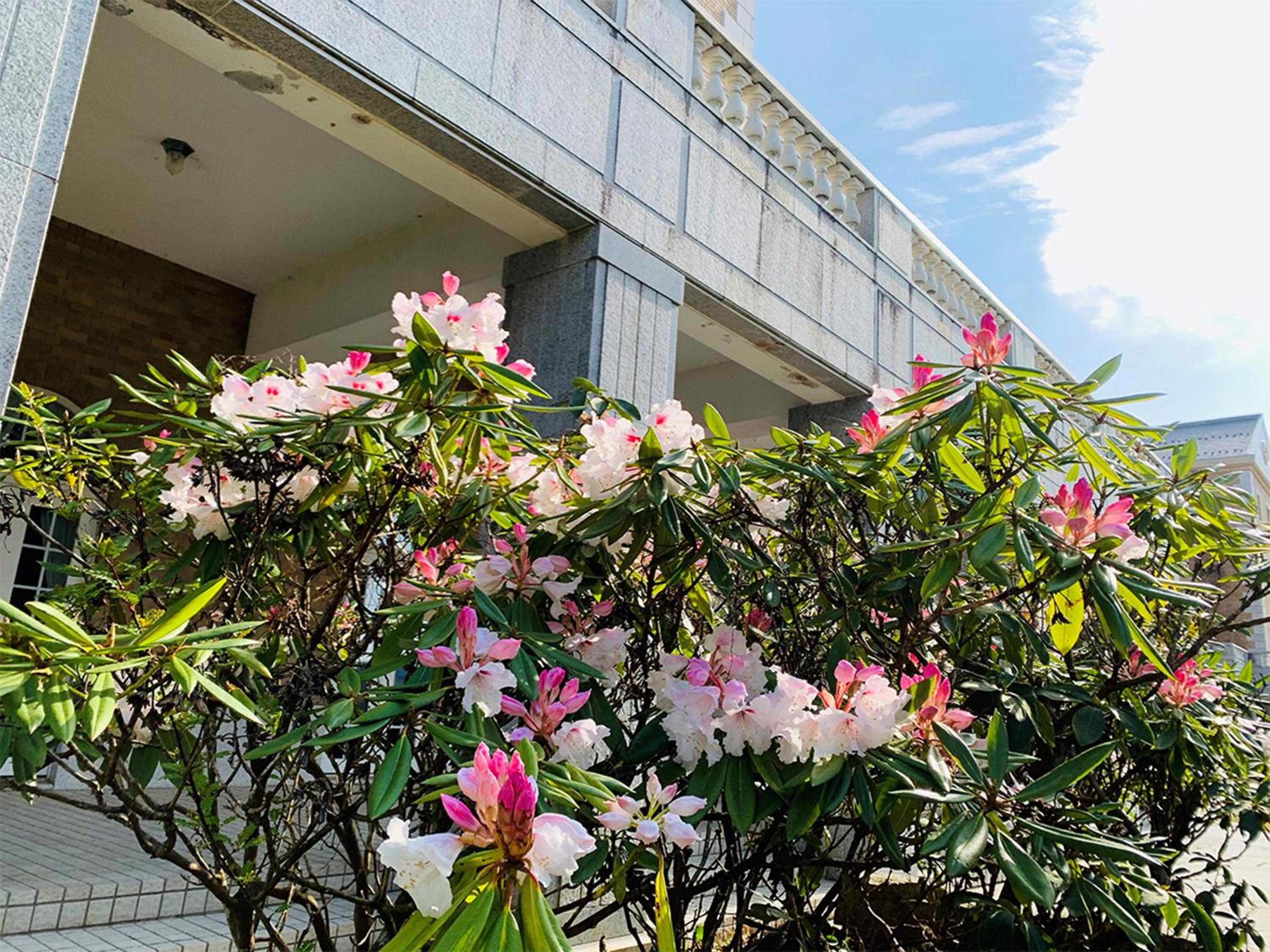 Yugashima Golf Club & Hotel Toen 2/50