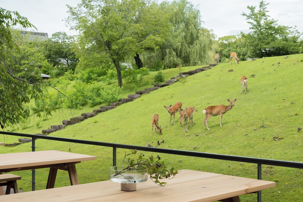 MIROKU NARA by THE SHARE HOTELS 26/32