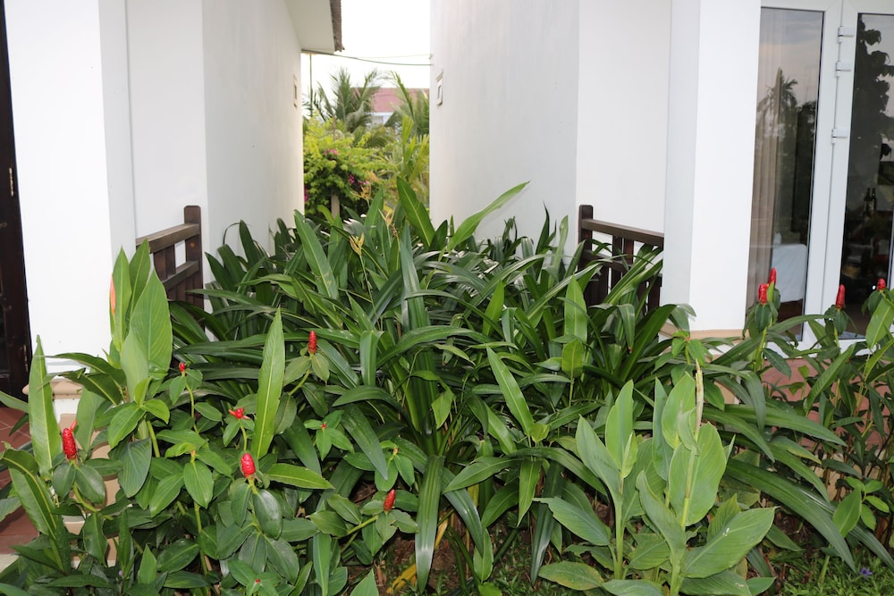 Green Areca villa 20/36