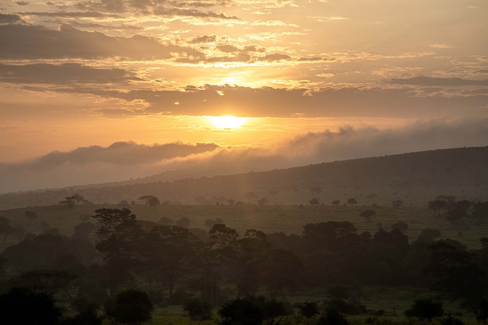 Taita Hills Safari Resort And Spa 46/63