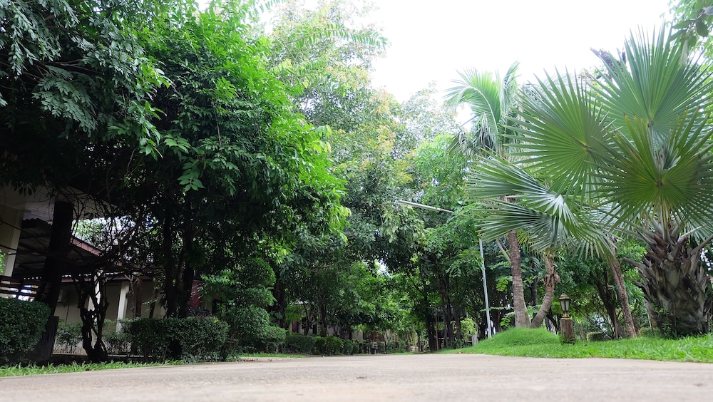 Big Tree Resort 42/45