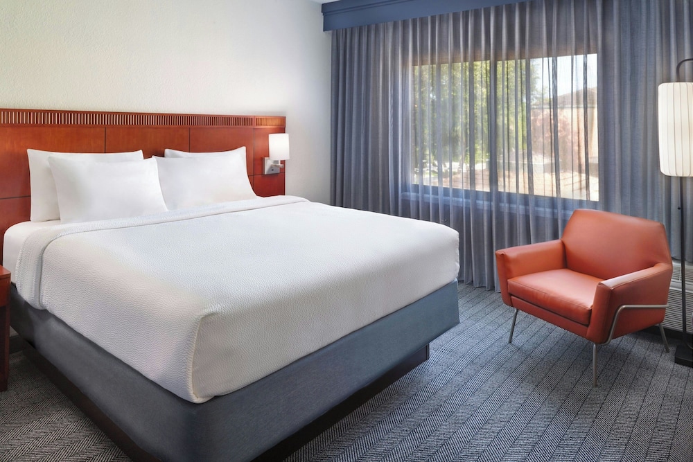 Executive, Suite, King Bed, Sofa, Accessible