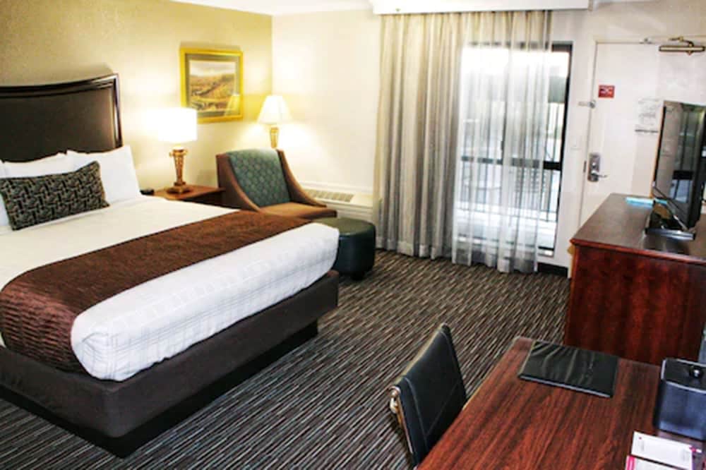 Best Western Plus Inn At The Vines 13/43
