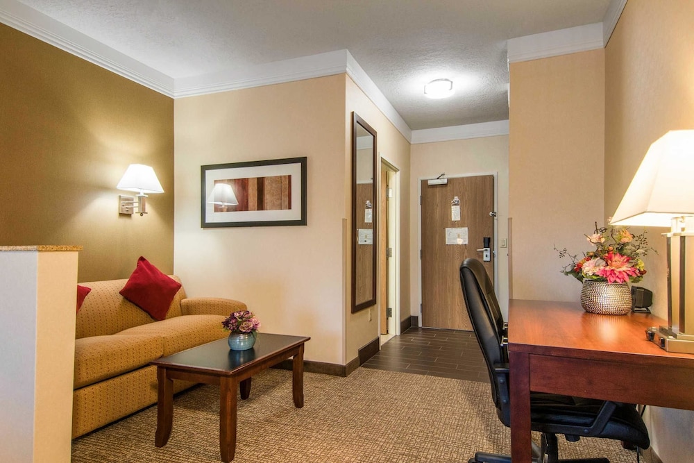 Comfort Suites Linn County Fairground And Expo 22/38