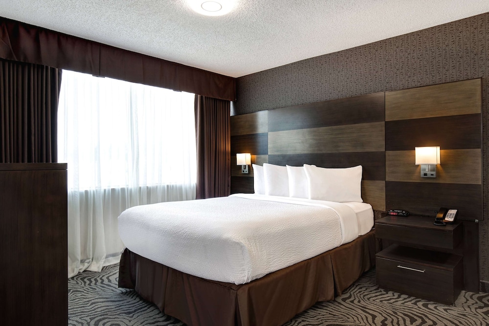 Room, Queen Bed
