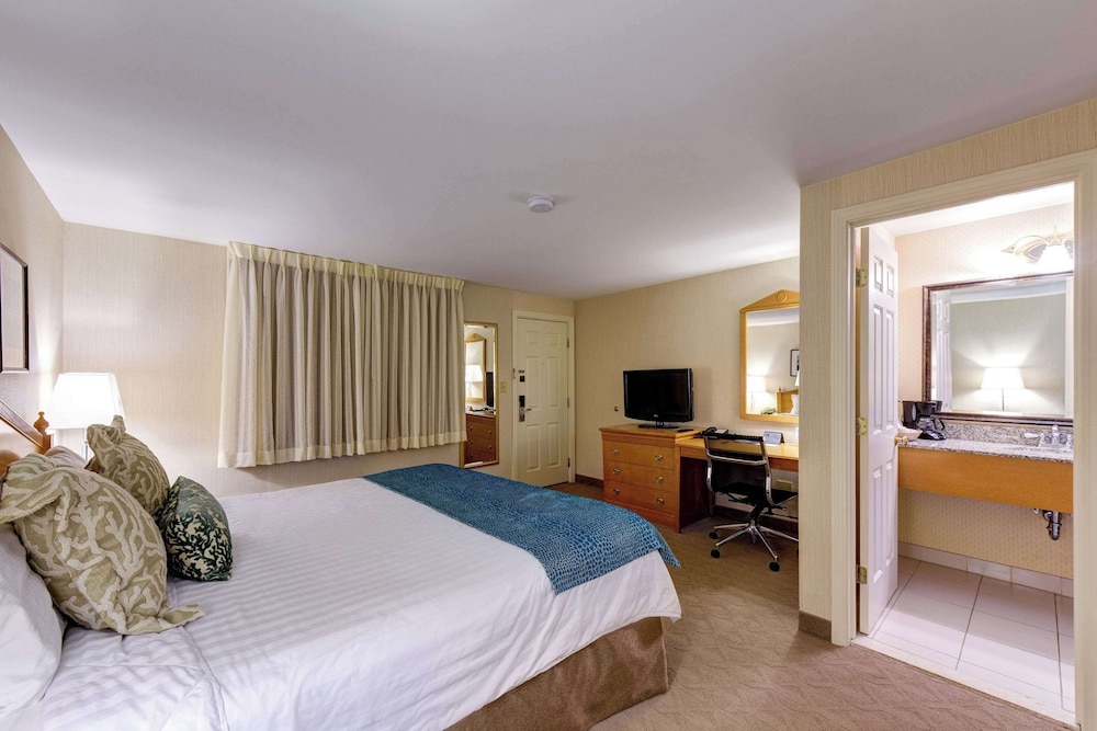 Room, Double Bed
