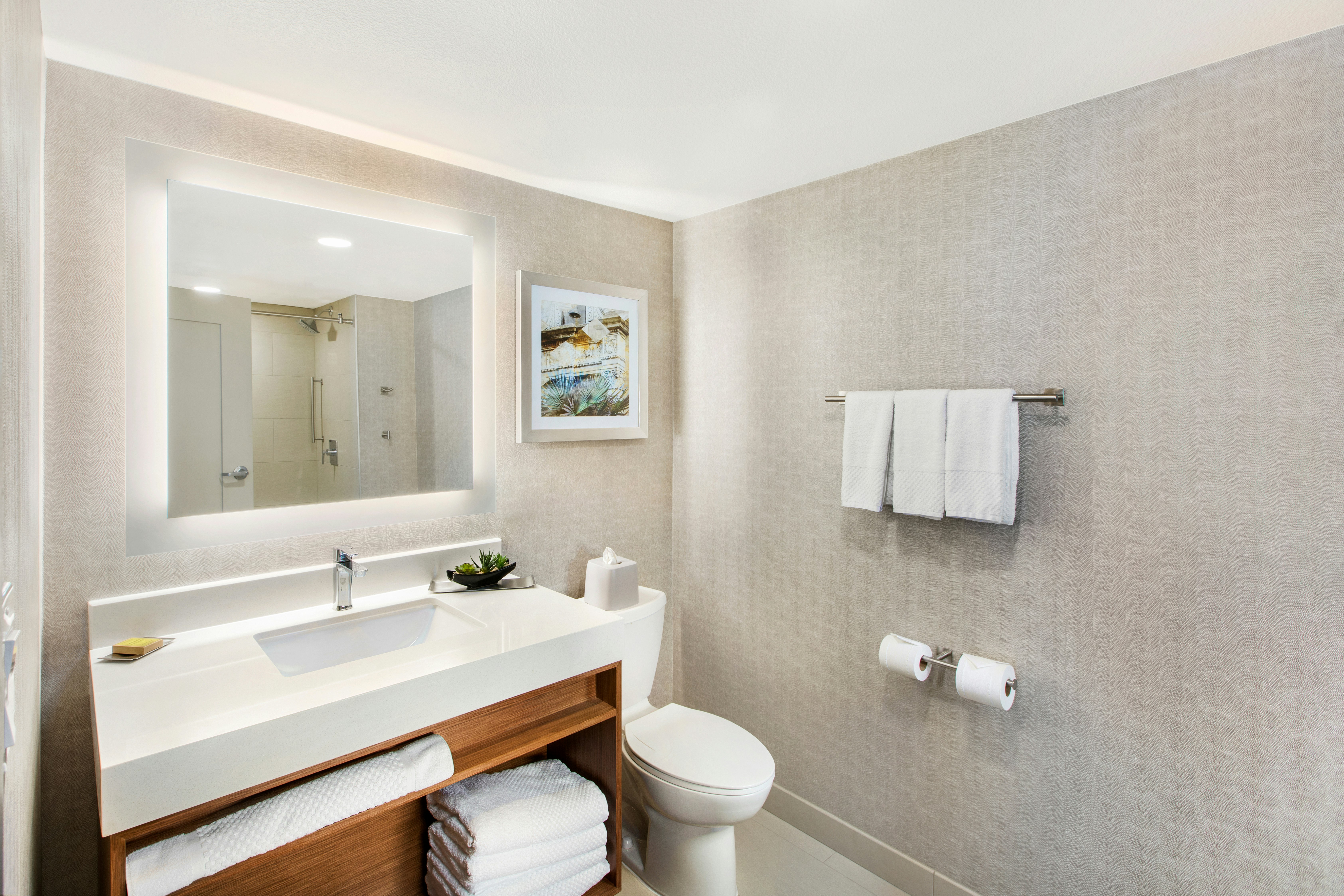 غرفة بسرير كينج مع أريكة، Doubletree By Hilton San Antonio Northwest 6/6