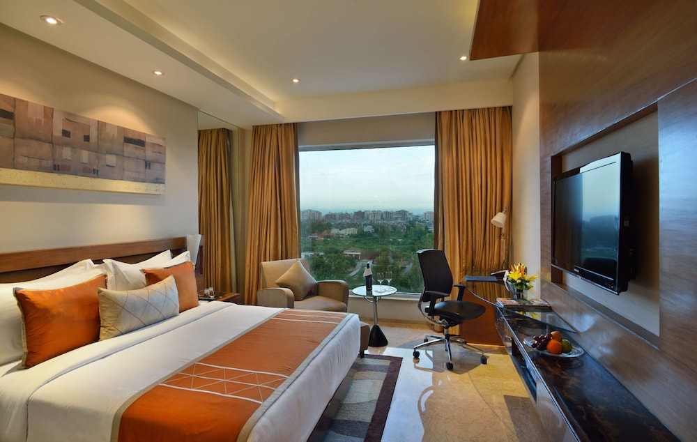 Radisson Blu Hotel Kaushambi Delhi Ncr 24/68