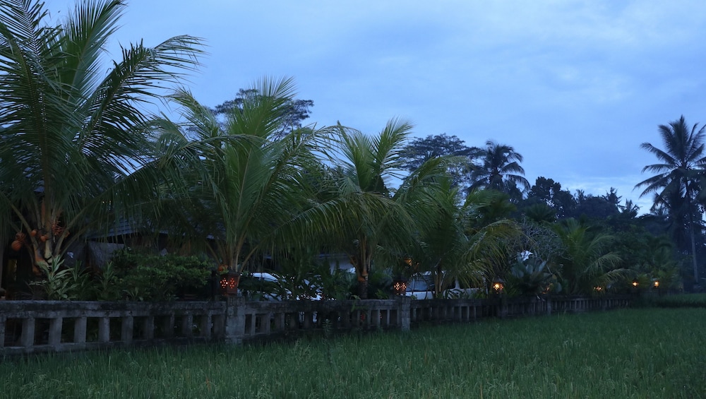 Villa Jj And Spa Ubud 78/80