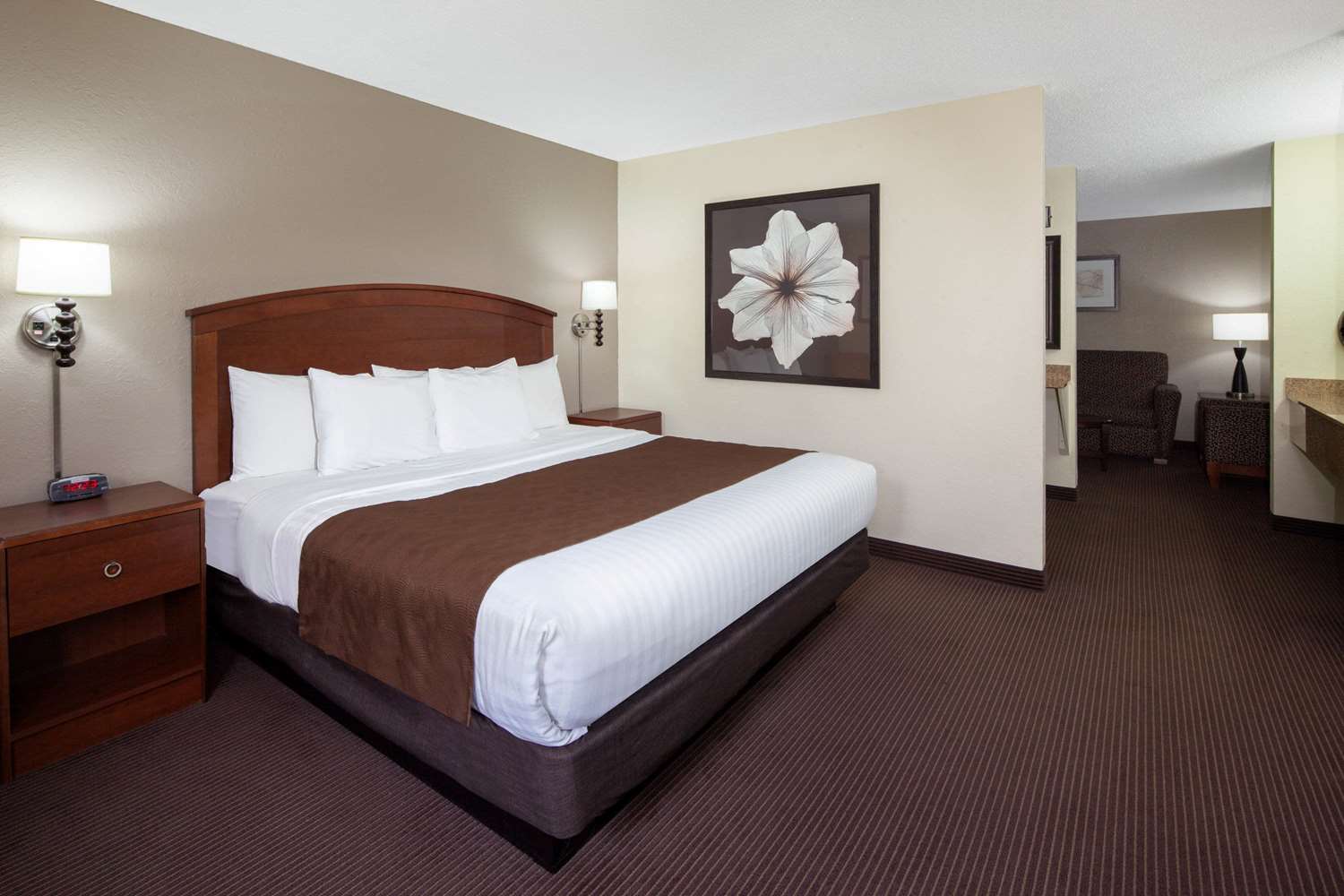 Americinn By Wyndham Ironwood 17/54