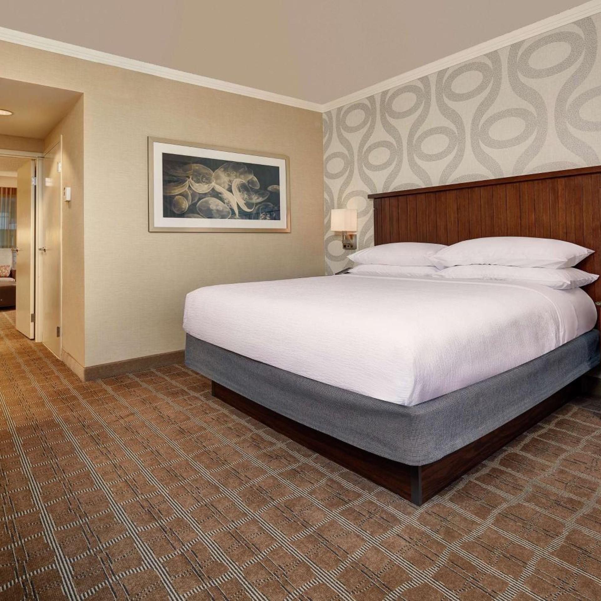 2 ROOMS, PREMIUM, SUITE, KING BED, ACCESSIBLE