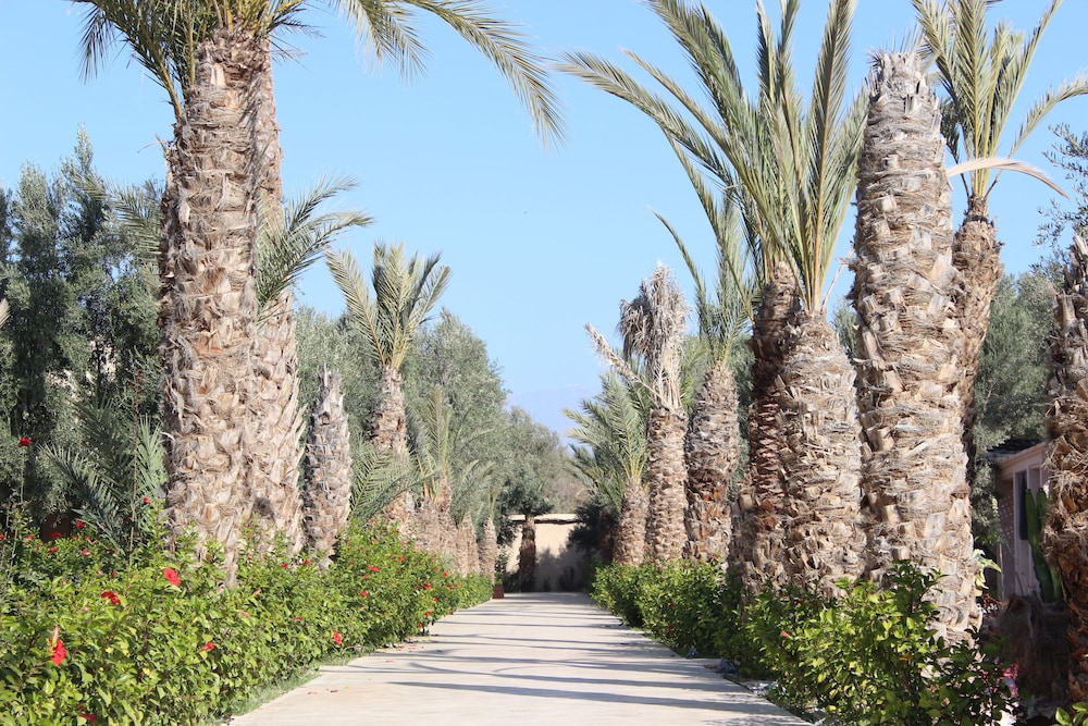 Riad le Jasmin 41/49