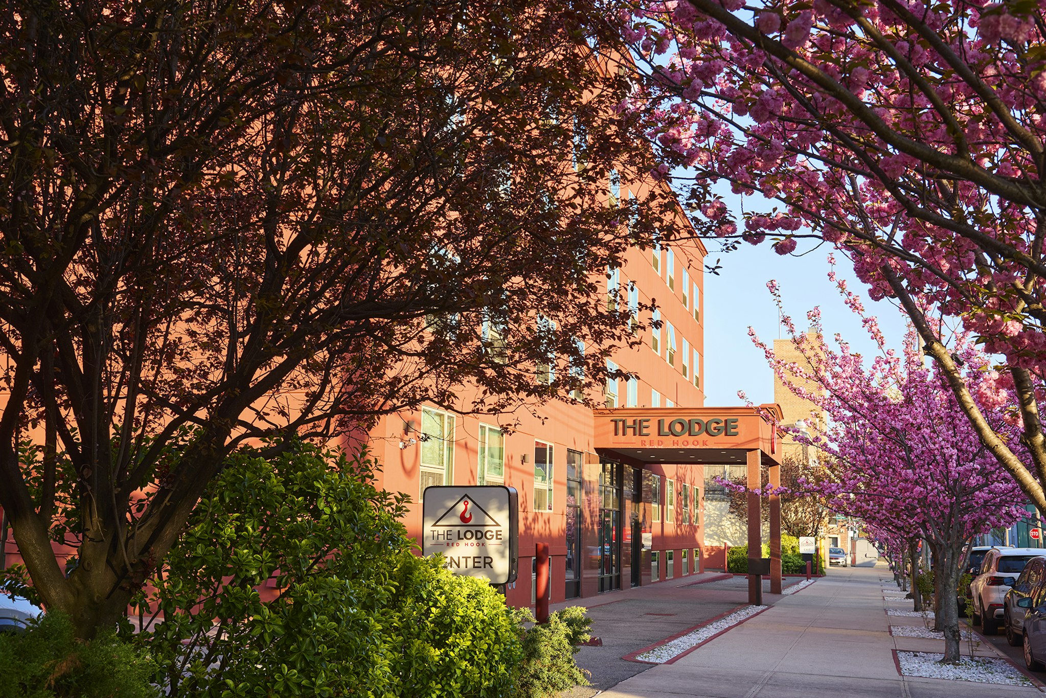 The Lodge Red Hook 43/50